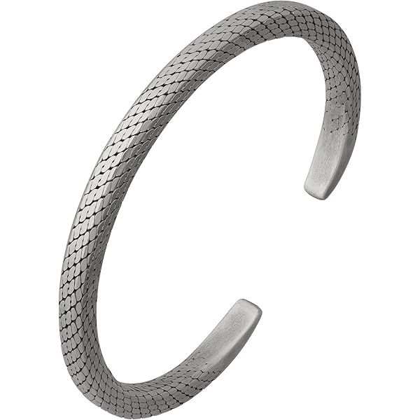 Amazon | ZOCALO（ソカロ） ツイスト・バングル・サーベルタイガー・L